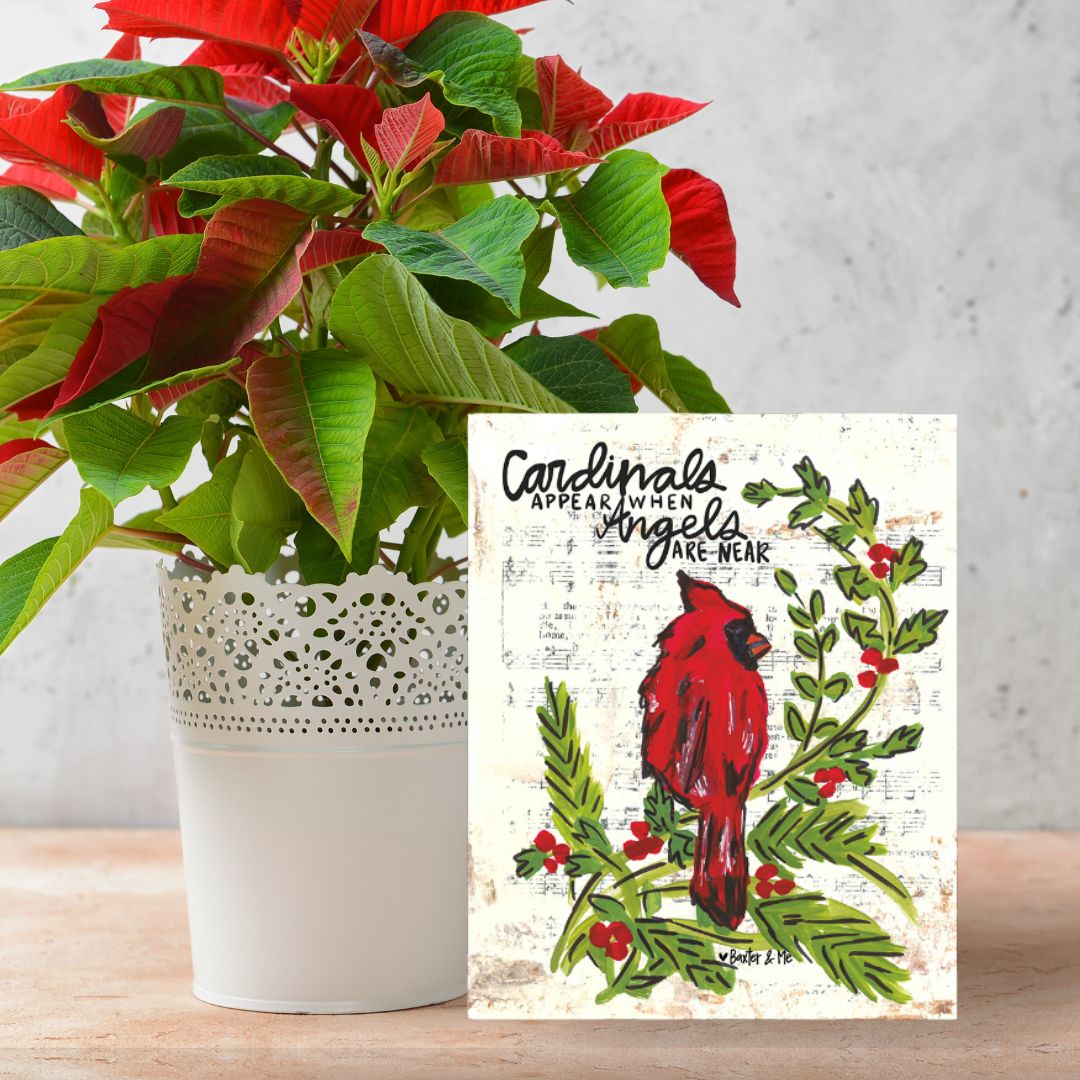 Cardinal - Wrapped Canvas
