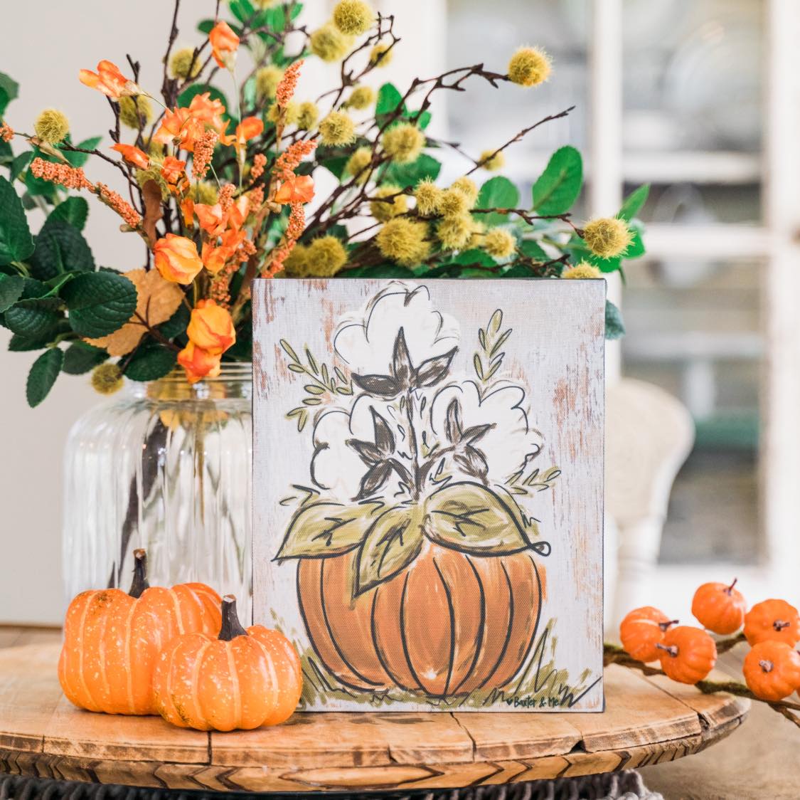 Cotton Pumpkin - Wrapped Canvas