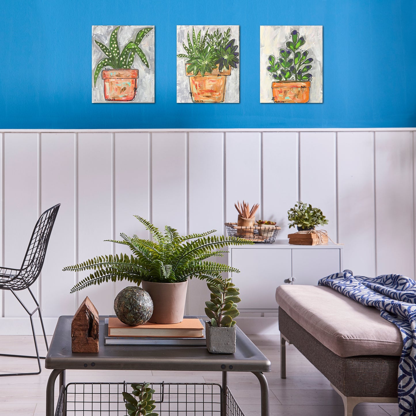 Aloe Planter - Wrapped Canvas, 8" x 10"