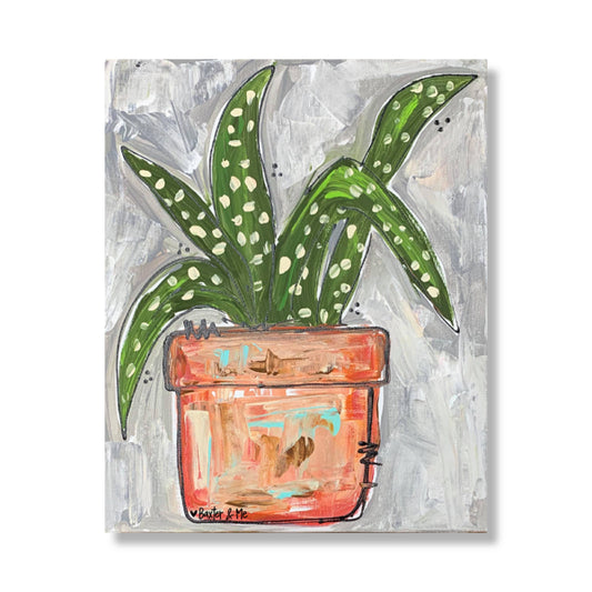 Aloe Planter - Wrapped Canvas, 8" x 10"